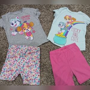 3t Paw patrol Skye and Everest shirts st Patrick's glitter